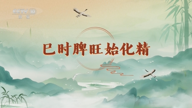 百家讲坛 《百家讲坛》 20260328 延年益寿话养生（第二部）14 巳时脾旺始化精