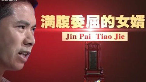 金牌调解 满腹委屈的女婿