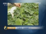 消费主张 《消费主张》 20160405 打击假农资 为您保春耕（一）