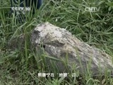 地理中国 《地理中国》 20150504 “天眼”奥秘·怪圈谜案