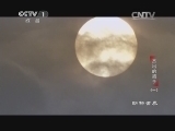 动物世界 《动物世界》 20140613 杰出的猎手（一）