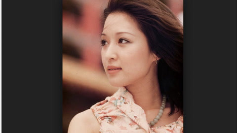 心灵摆渡人 七十年代台湾第一美女胡因梦与才子李敖的爱情故事