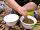 绿野寻踪 《绿野寻踪》 20160713