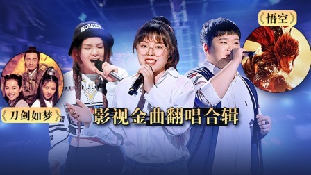 中国好声音 2022 精编版：往季影视金曲翻唱合辑