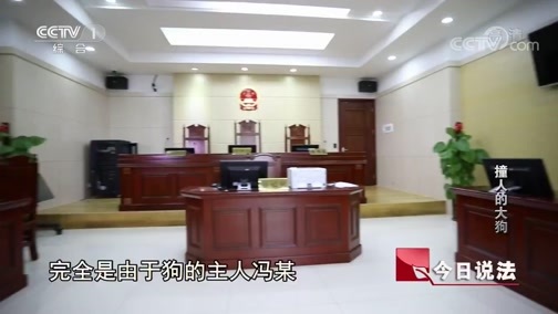 今日说法 《今日说法》 20190623 撞人的大狗