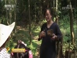 中国财经报道 《中国财经报道》 20170916 瓷都新魅力