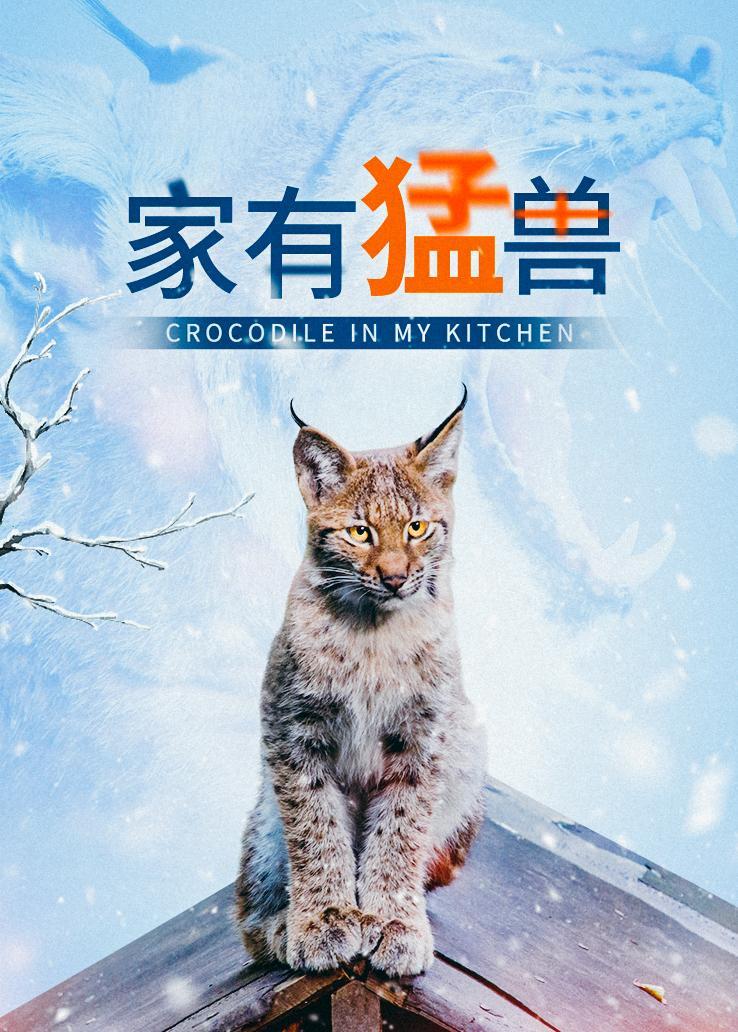 家有猛兽