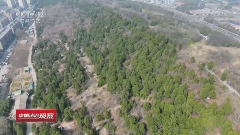 《中国法治观察》 20260414