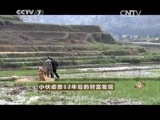 致富经 《致富经》 20150512 小伙虚度12年后的财富发现