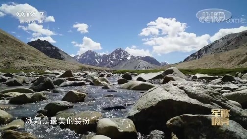 国防微视频-军歌嘹亮 《国防微视频-军歌嘹亮》 20200508 《滚烫青春》