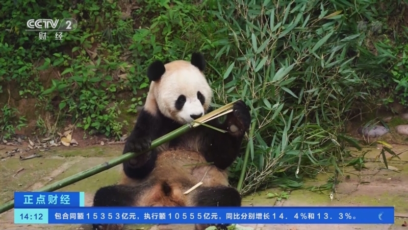 正点财经 《正点财经》 20221118 14:00