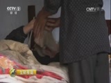 生财有道 《生财有道》 20161001 四川恩阳：芦笋——致富乡亲的“金钥匙”