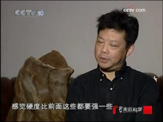 走近科学 太岁身份
