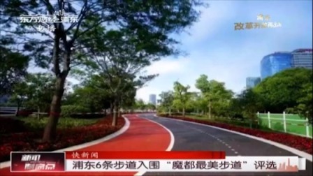 浦东6条步道入围“魔都最美步道”评选