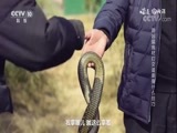 味道 《味道》 20180313 记忆中的年味—宁乡年味