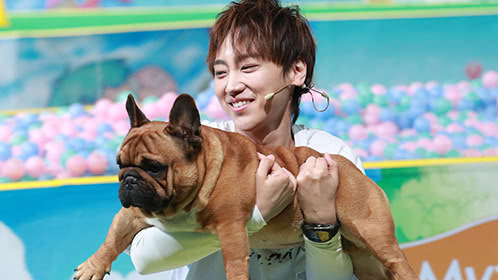 第8期：魏巡带爱犬来袭变身“超级奶爸”