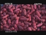 行走的餐桌 第一季 《人文地理》 20130524 行走的餐桌·徐州