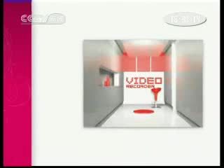 动物世界 [百姓档案]特别节目：神奇的动物世界（5月5日）