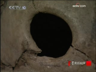 走近科学 开颅之争