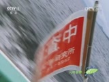 人与自然 《人与自然》 20160201 水母入侵（下）