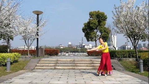 广场舞 宛如蝴蝶飞舞一样的舞蹈