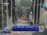 热线12 《热线12》 20171213