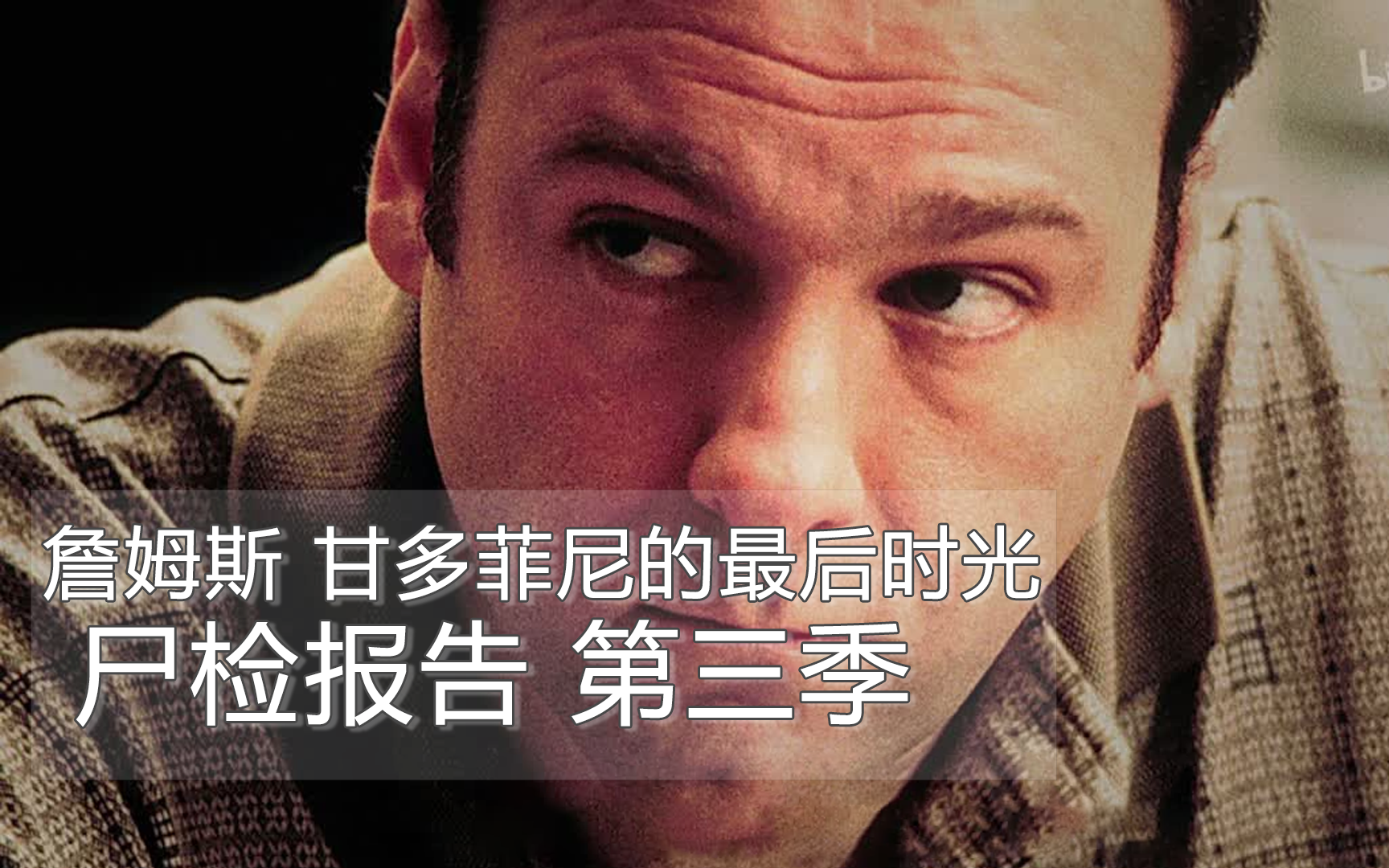 詹姆斯 甘多菲尼的最后时光