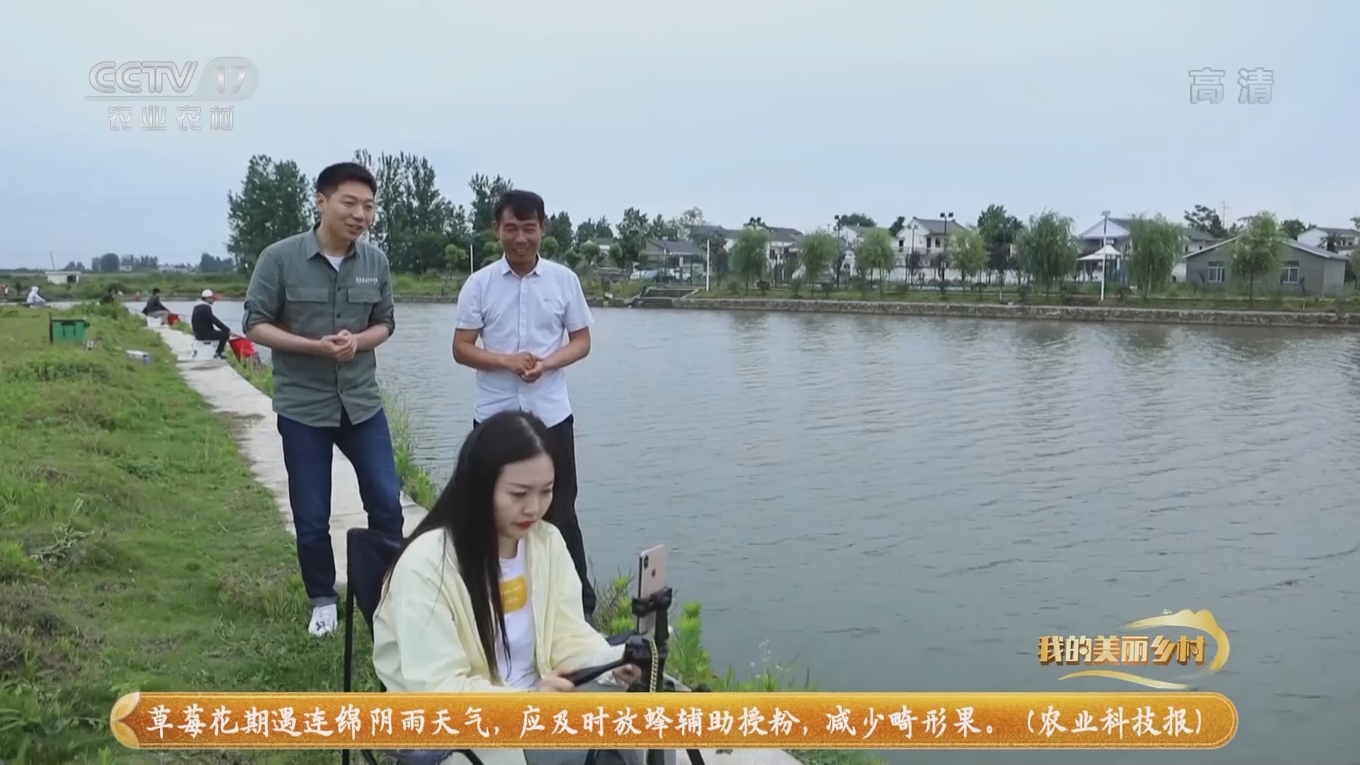 《我的美丽乡村》 20211015 西赵湖的蝶变路