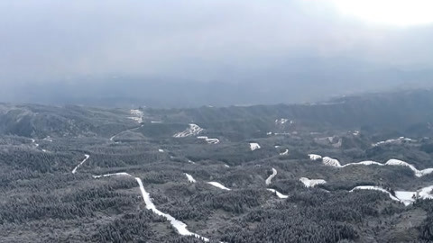 小强热线20210309