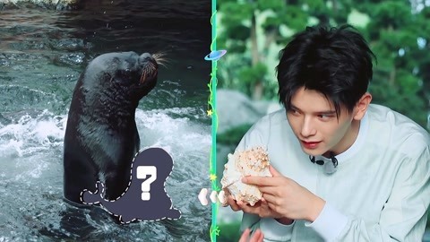 姚弛暖心安慰萌娃