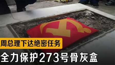 战史分析 1974年周总理下达绝密指令，全力保护273号骨灰盒