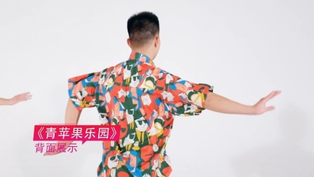 青苹果乐园—毕刚（背面展示）