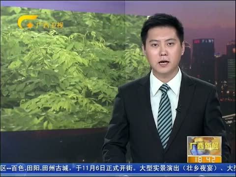 广西新闻 《广西新闻》 20141101