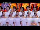 风华国乐 风华国乐 2010年 第199期