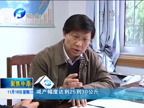聚焦中原 《聚焦中原》 20141118 豫南“籼改粳”带来新变革