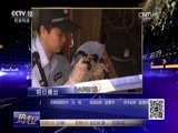 热线12 《热线12》 20170301 夺命的赔偿款