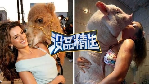 没品精选 【没品精选】想想都可怕！萌宠成精调戏路人被吓傻