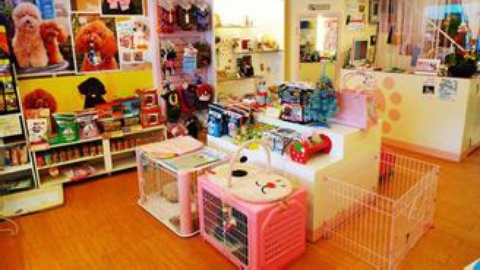 乐活好正点 宠物店创新服务