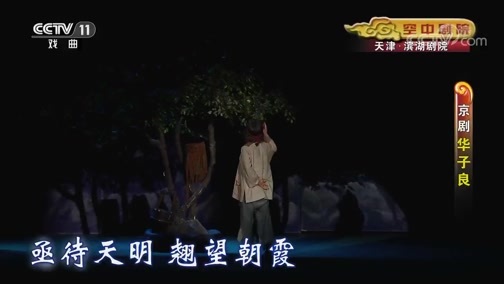 CCTV空中剧院 《CCTV空中剧院》 20200704 京剧《华子良》 2/2