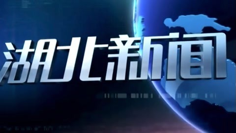 湖北新闻20211126
