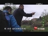 今日说法 《今日说法》 20140717 追风捕影