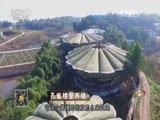 致富经 《致富经》 20160113 孔雀楼里养猪