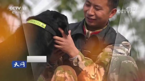 天网 《天网》 20190314 人犬情缘·钟爱一生