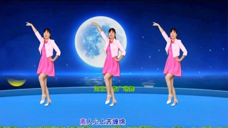 柔美DJ广场舞《相思》简单32步附分解