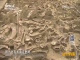 远方的家 《远方的家》长城内外 第135集 古韵密州 20160429