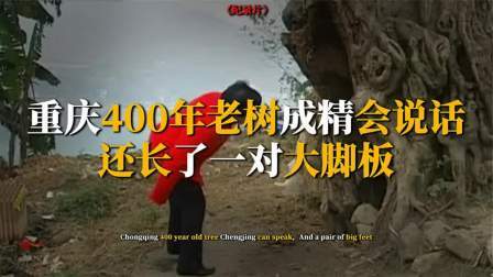 考古新发现第二季 重庆百年古树成精 上，不仅会开口说人话，还长出一双大脚板