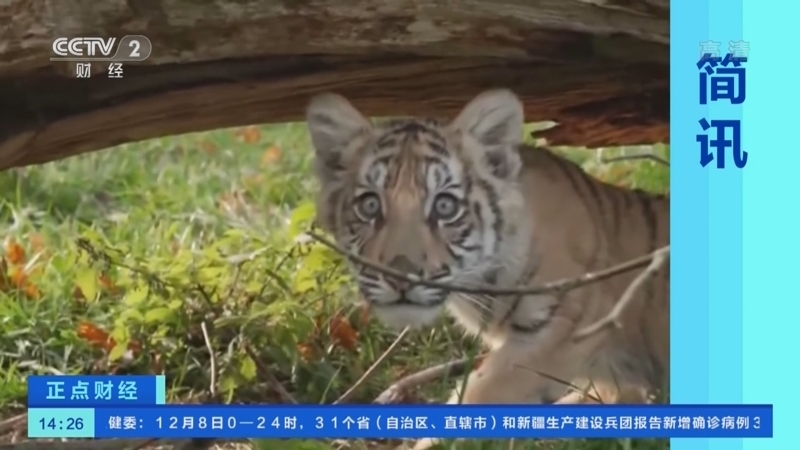 正点财经 《正点财经》 20221209 14:00