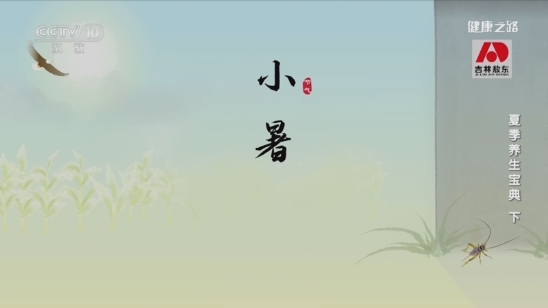 健康之路 《健康之路》 20230506 夏季养生宝典（下）