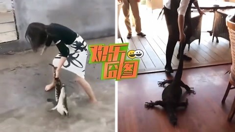欢乐囧图 【欢乐囧图】女汉子手擒鳄鱼面不改色