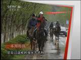 远方的家 《远方的家》20110530 美丽乡村别样游
